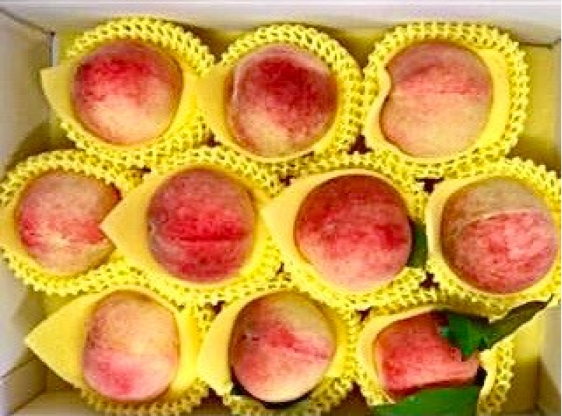 泰崗甜桃水蜜桃產區